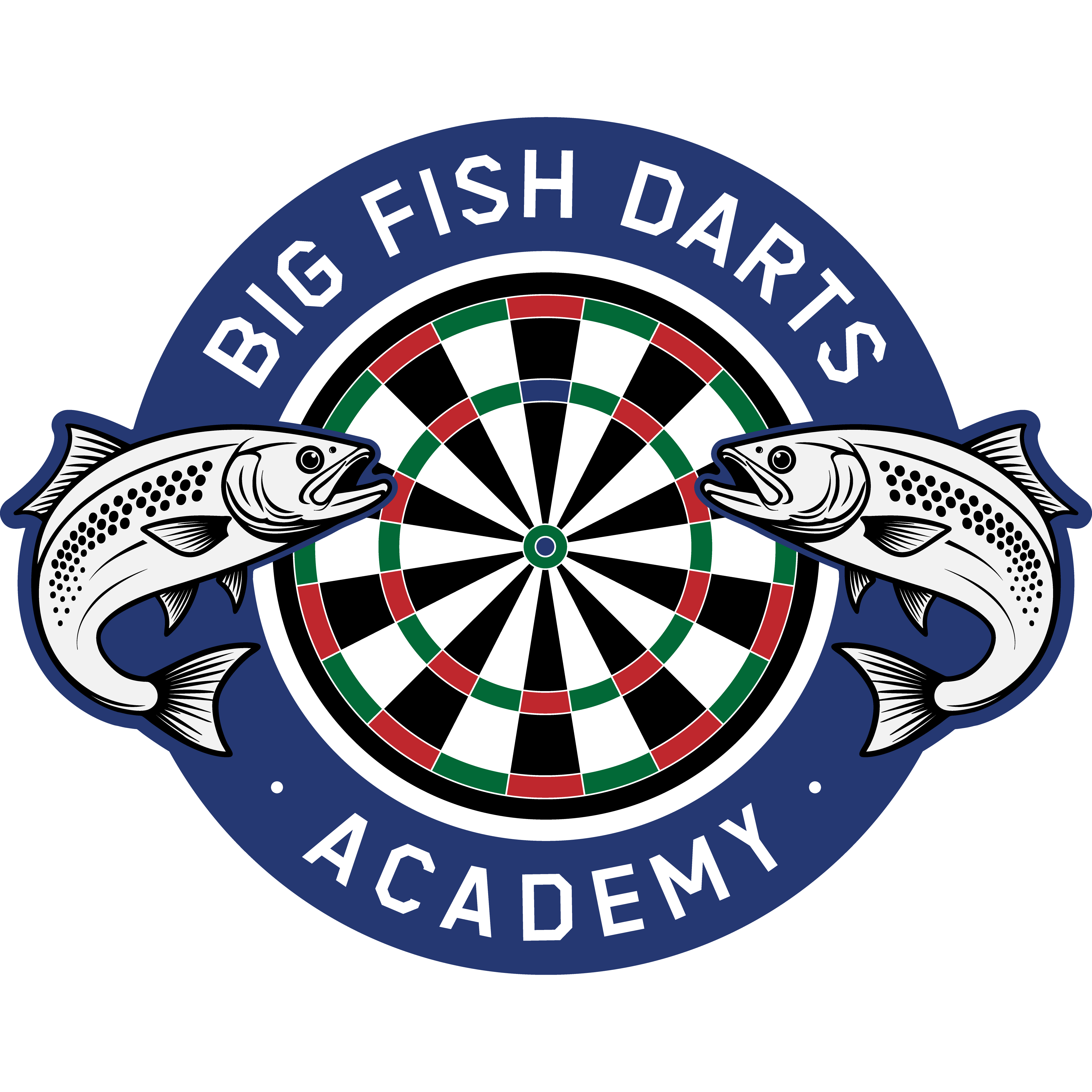 Big Fish Darts Academy